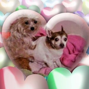 Meet your Posher, Billy